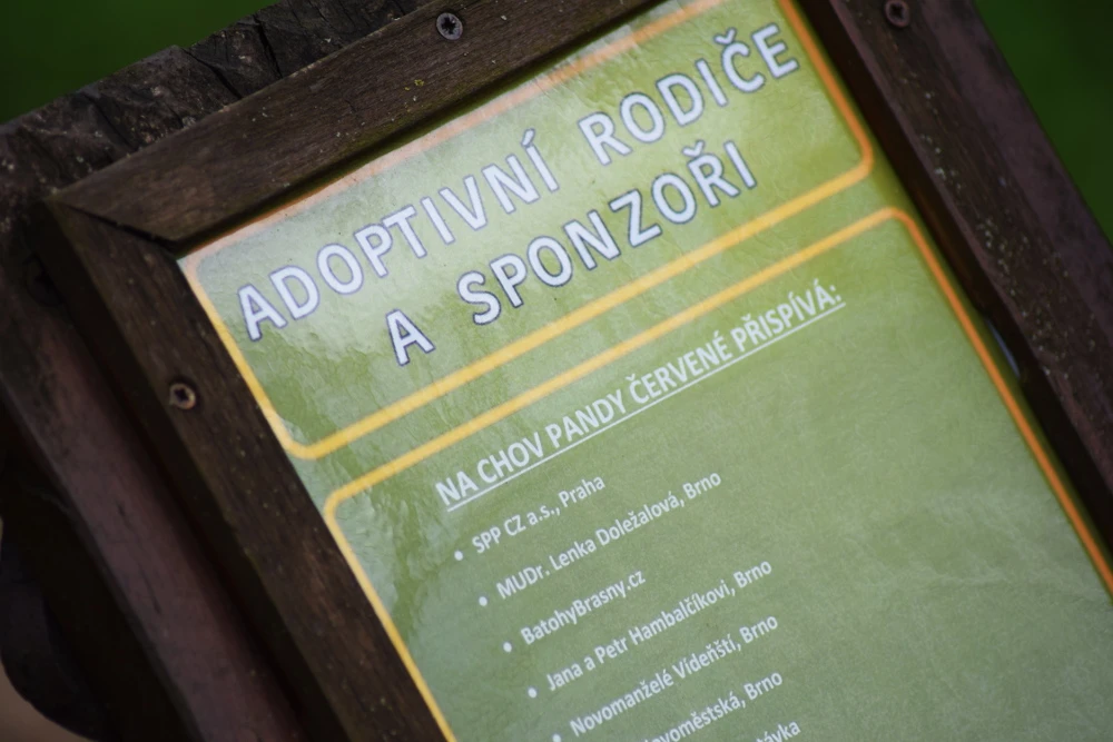 Adozione Zoo di Brno