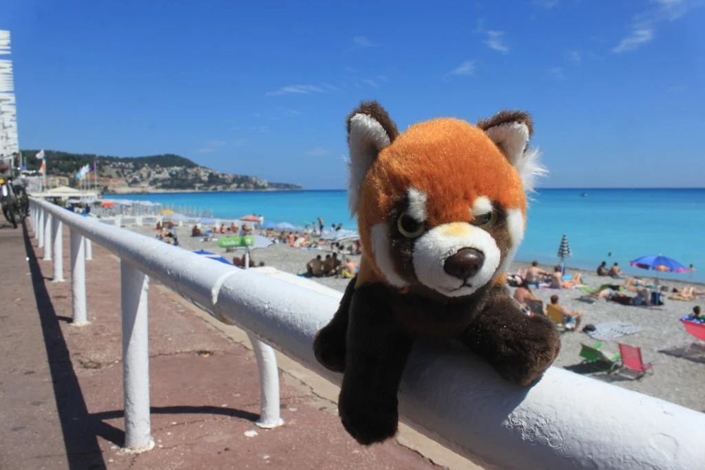 Panda a Nizza