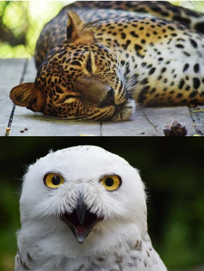 Zoo di Brno