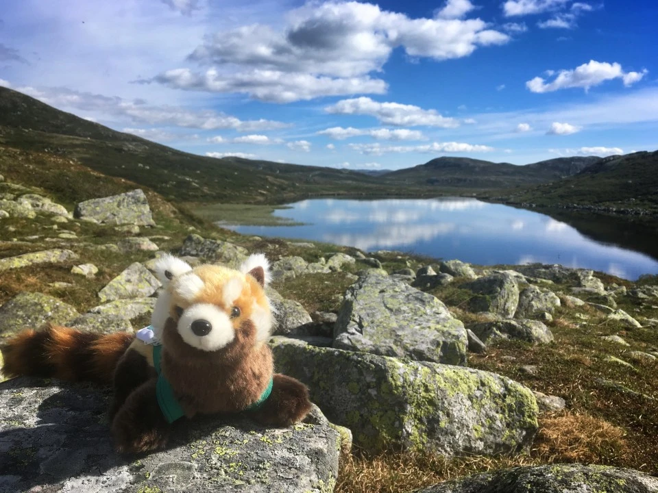 Spedizione Norway - paesaggio