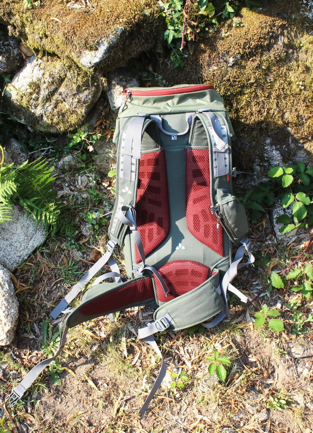 recensione vaude prokyon