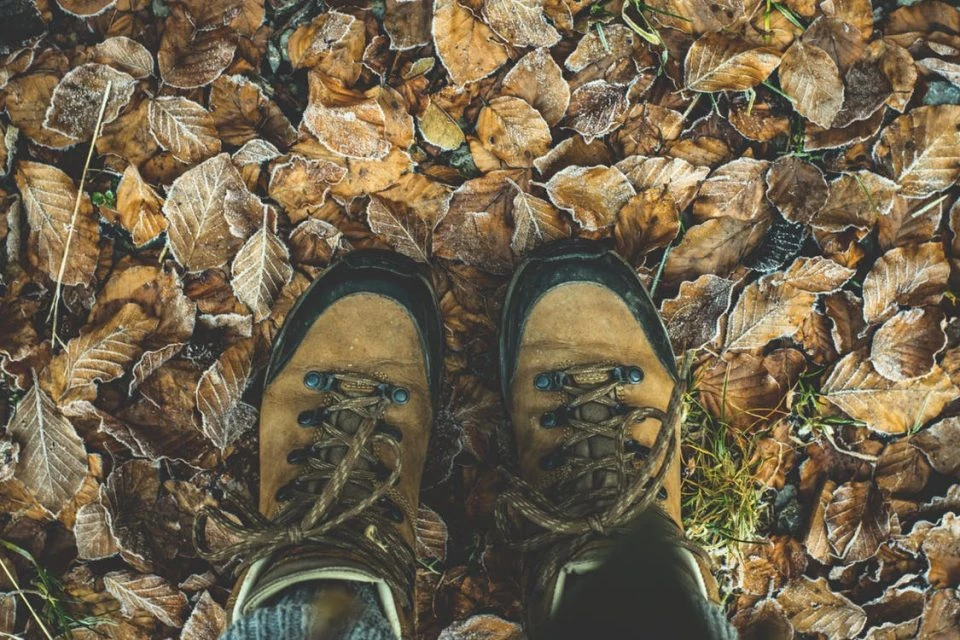 Trekking - escursioni nella natura