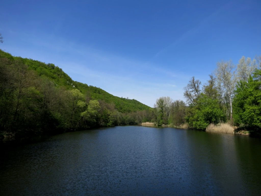 Vista sul fiume Dyje