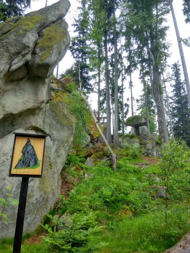 Šumava - Sentiero dell'Orso